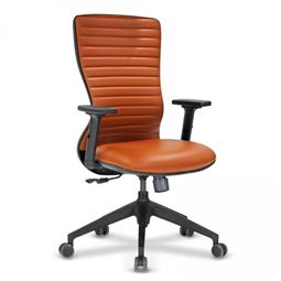 ARYA BAŞLIKSIZ ÇALIŞMA KOLTUĞU Plastik Ayak / ayarlı kol / bel destekli ARYA 51