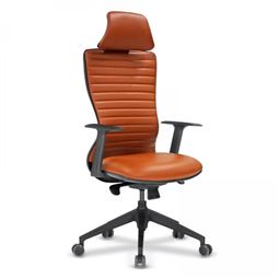 ARYA YÖNETİCİ KOLTUĞU Plastik Ayak / sabit kol / bel destekli