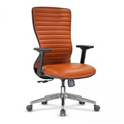 ARYA MİSAFİR KOLTUĞU Alüminyum Ayak / ayarlı kol / bel destekli ARYA 41