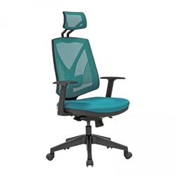 BELLA BAŞLIKLI YÖNETİCİ KOLTUĞU Plastik Ayak / ayarlı kol / bel destekli BLA 060