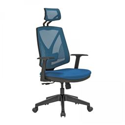 BELLA BAŞLIKLI YÖNETİCİ KOLTUĞU Plastik Ayak / sabit kol / bel destekli BLA 034