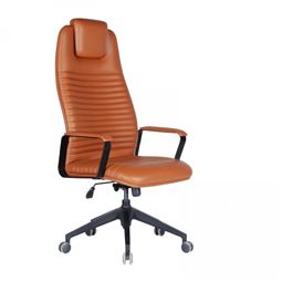 CAPRİ BAŞLIKLI YÖNETİCİ KOLTUĞU Plastik Ayak / Boyalı metal kol CAPRİ 01