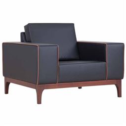 EFOR TEKLİ KANEPE Bazalı Ahşap Ayak EFR 01