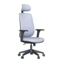 MABEL BAŞLIKLI YÖNETİCİ KOLTUĞU Plastik Ayak / oynar kol / bel desteksiz MBL 01