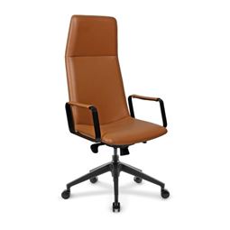 SİLVA YÖNETİCİ KOLTUĞU Plastik Ayak / sabit kol / bel desteksiz SLV 01