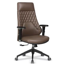 ADA BAŞLIKLI YÖNETİCİ KOLTUĞU Plastik Ayak / ayarlı kol / bel desteksiz ADA 10