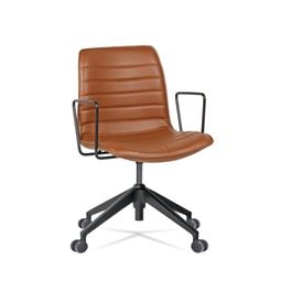 DALMİ ŞEF KOLTUĞU 4'LÜ Plastik Ayak / boyalı kol DLM 35