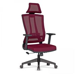 EDEN BAŞLIKLI YÖNETİCİ KOLTUĞU Plastik Ayak / sabit kol / bel destekli EDEN 20