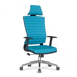 EDEN BAŞLIKLI YÖNETİCİ KOLTUĞU Alüminyum Ayak / sabit kol / bel destekli EDEN 50