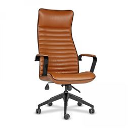 FLAMİNGO YÖNETİCİ KOLTUĞU Plastik Ayak / sabit kol / bel desteksiz FL 10