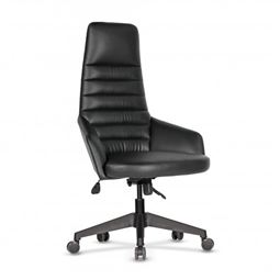 NORA YÖNETİCİ KOLTUĞU Plastik Ayak / sabit kol / bel destekli NORA 30