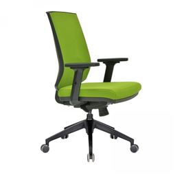 REGAL BAŞLIKSIZ MİSAFİR KOLTUĞU Plastik Ayak / ayarlı kol / bel destekli REGAL 11