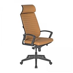 REMO BAŞLIKLI YÖNETİCİ KOLTUĞU Plastik Ayak / sabit kol / bel desteksiz RM 64