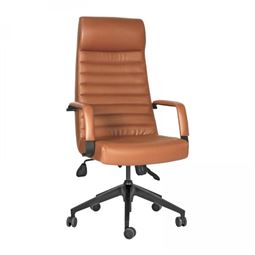 ROSETTA BAŞLIKLI YÖNETİCİ KOLTUĞU Plastik Ayak / sabit kol / bel desteksiz RST 10