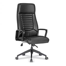 SOUTH YÖNETİCİ KOLTUĞU Plastik Ayak / Boyalı metal kol SOUTH 01