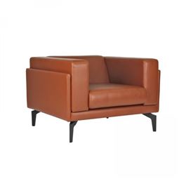 STONE TEKLİ KANEPE Boyalı Ayak STONE 01