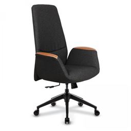 SEDEF ÇALIŞMA KOLTUĞU Plastik Ayak / sabit kol / bel desteksiz SEDEF 01