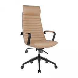 ZETA YÖNETİCİ KOLTUĞU Plastik Ayak / sabit kol / bel destekli ZETA 10